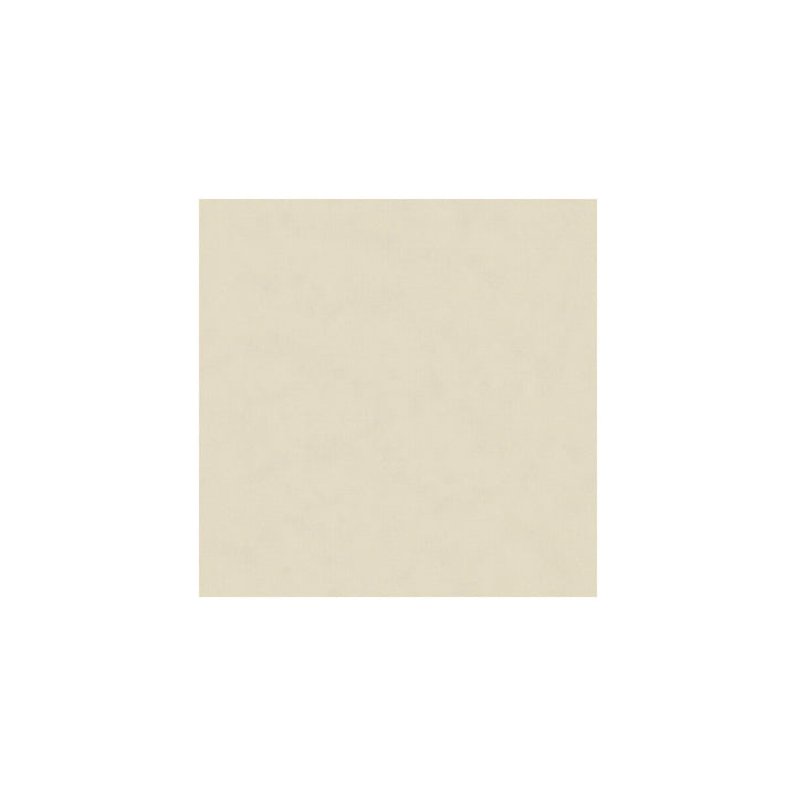 Bristol Silk Oyster by Lee Jofa Fabric SUZANNE KASLER SILK - 100% India Horizontal: 0 and Vertical: 0 54 - Fabric Carolina -