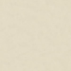 Bristol Silk Oyster by Lee Jofa Fabric