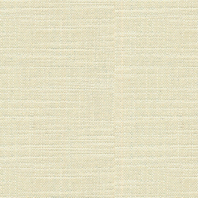 Adele Solid Platinum by Lee Jofa Fabric THE KARENZA COLLECTION VISCOSE - 58%;COTTON - 31%;LINEN - 11% Italy HEAVY Horizontal: 0 and Vertical: 0 55 - Fabric Carolina -