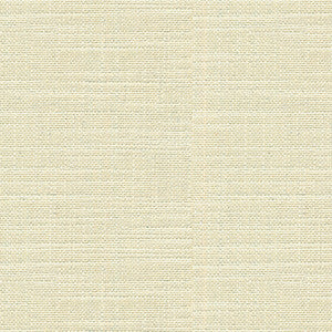 Adele Solid Platinum by Lee Jofa Fabric