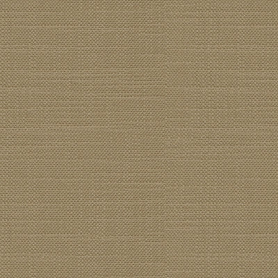 Adele Solid Mocha by Lee Jofa Fabric