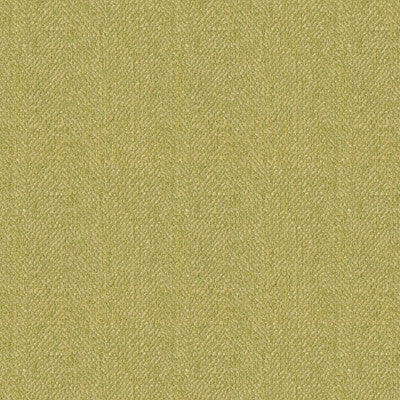 Marita Weave Absinthe by Lee Jofa Fabric
