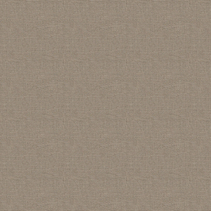 Hampton Linen Oats by Lee Jofa Fabric COLOUR COMPLEMENTS II LINEN - 100% Brazil LIGHT Horizontal: 0 and Vertical: 0 54 - Fabric Carolina -