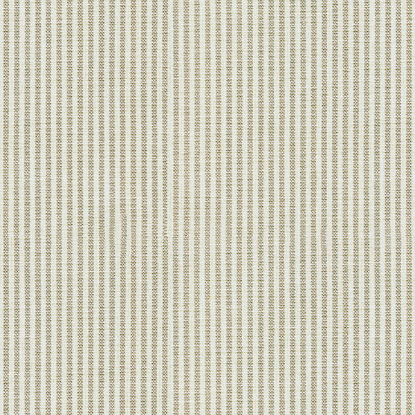 Captiva Ticking Dove Grey by Lee Jofa Fabric