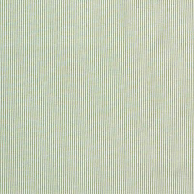 Captiva Ticking Green by Lee Jofa Fabric COLOUR COMPLEMENTS II COTTON - 100% Portugal HEAVY Horizontal: 0 and Vertical: 0 54 - Fabric Carolina -