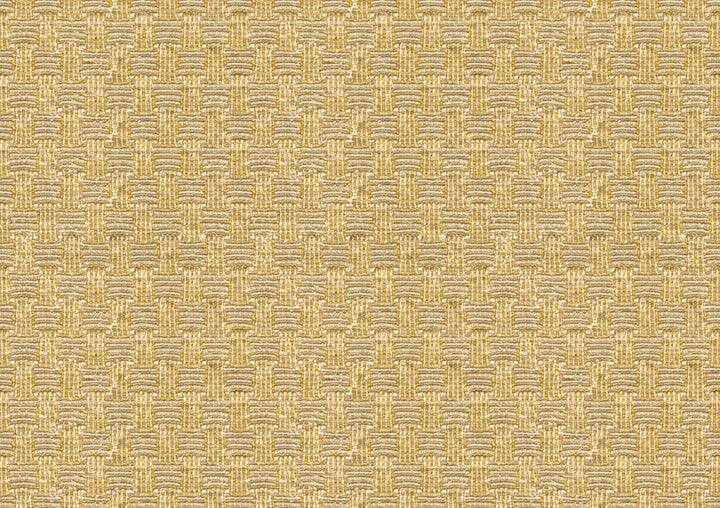 Bosphorus Check Straw by Lee Jofa Fabric