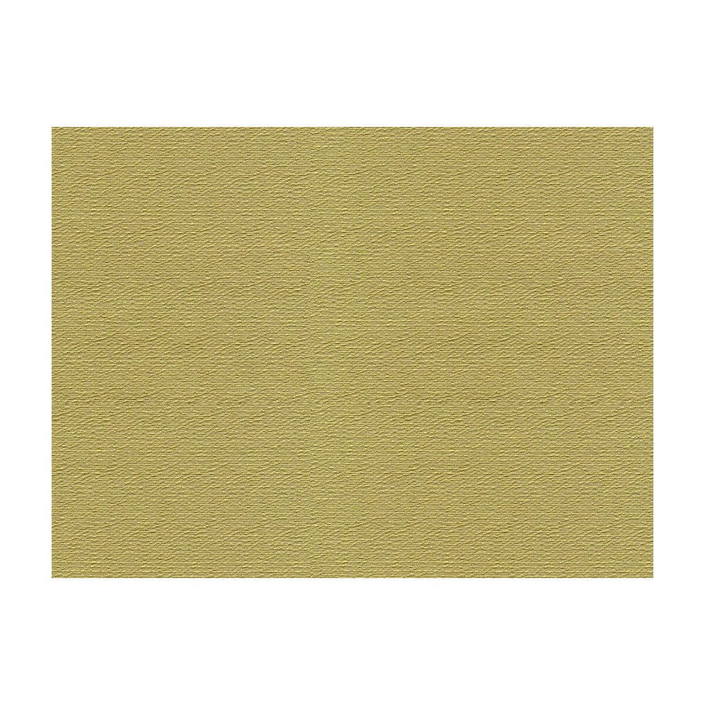 Bank Celery by Lee Jofa Fabric JAMES HUNIFORD EXPRESS MERCERIZED COTTON - 53%;COTTON - 33%;RAYON - 14% United States HEAVY Horizontal: 0.75 and Vertical: 1 56.5 - Fabric Carolina -