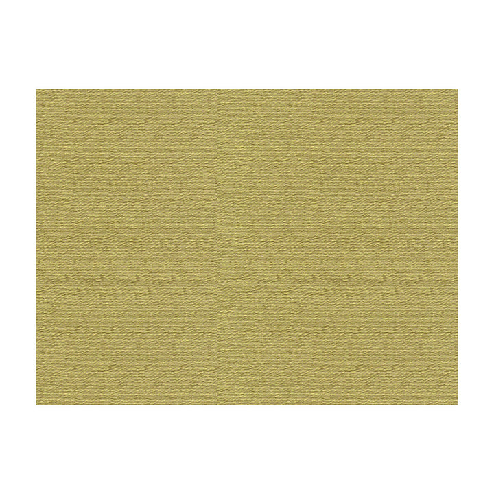 Bank Celery by Lee Jofa Fabric JAMES HUNIFORD EXPRESS MERCERIZED COTTON - 53%;COTTON - 33%;RAYON - 14% United States HEAVY Horizontal: 0.75 and Vertical: 1 56.5 - Fabric Carolina -