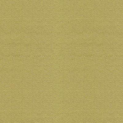 Bank Celery by Lee Jofa Fabric