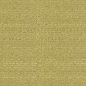 Bank Celery by Lee Jofa Fabric