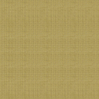 Judd Celery by Lee Jofa Fabric