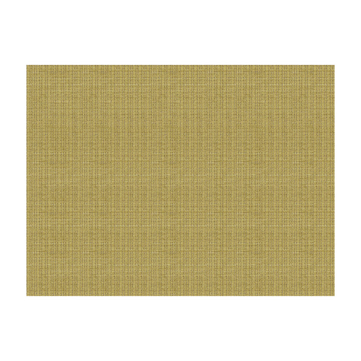 Judd Celery by Lee Jofa Fabric JAMES HUNIFORD EXPRESS RAYON - 43%;MERCERIZED COTTON - 42%;COTTON - 15% United States HEAVY Horizontal: 1.25 and Vertical: 0.5 54.75 - Fabric Carolina -