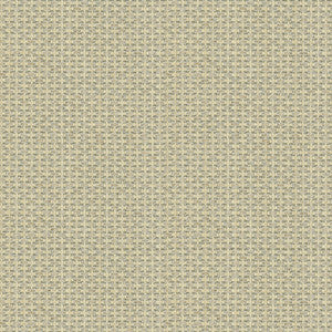 Sutton Dusk by Lee Jofa Fabric