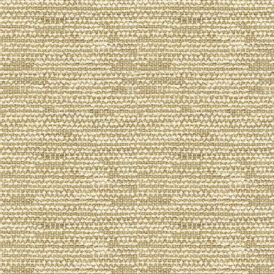 Robinson Sand by Lee Jofa Fabric