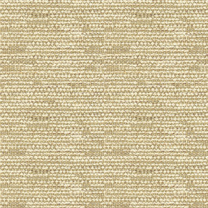 Robinson Sand by Lee Jofa Fabric