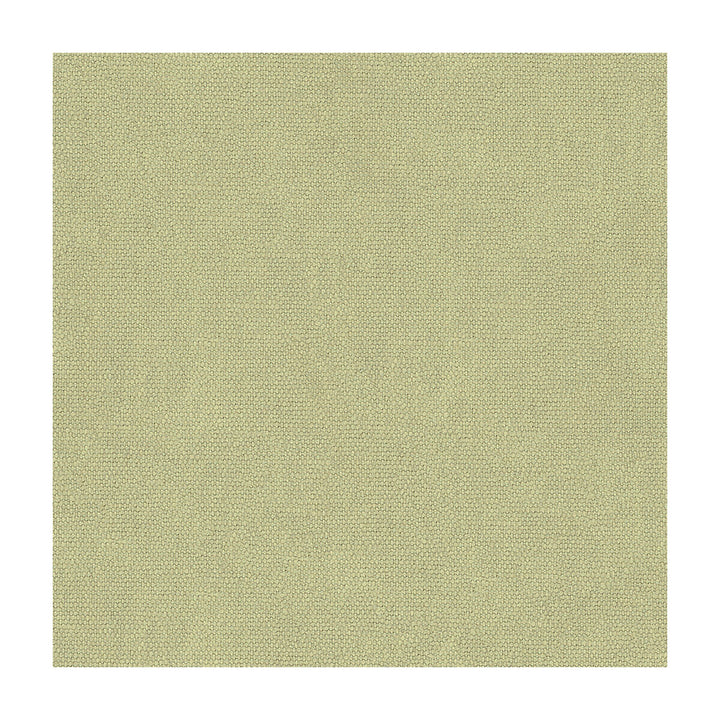 Mesa Spa by Lee Jofa Fabric LINEN - 100% Slovenia HEAVY Horizontal: and Vertical: 54 - Fabric Carolina -