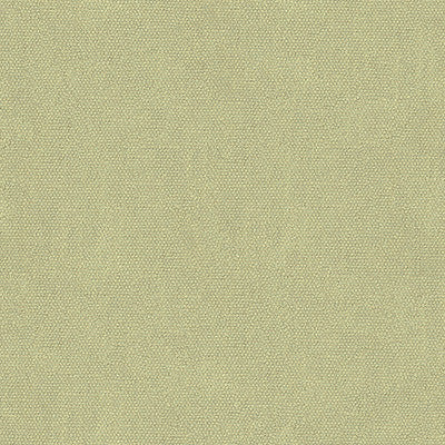 Mesa Spa by Lee Jofa Fabric