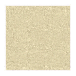 Mesa Powder by Lee Jofa Fabric