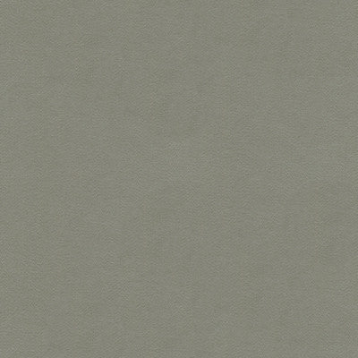 Highland Silver by Lee Jofa Fabric
