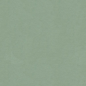 Highland Meadow by Lee Jofa Fabric