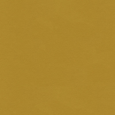 Highland Lime by Lee Jofa Fabric