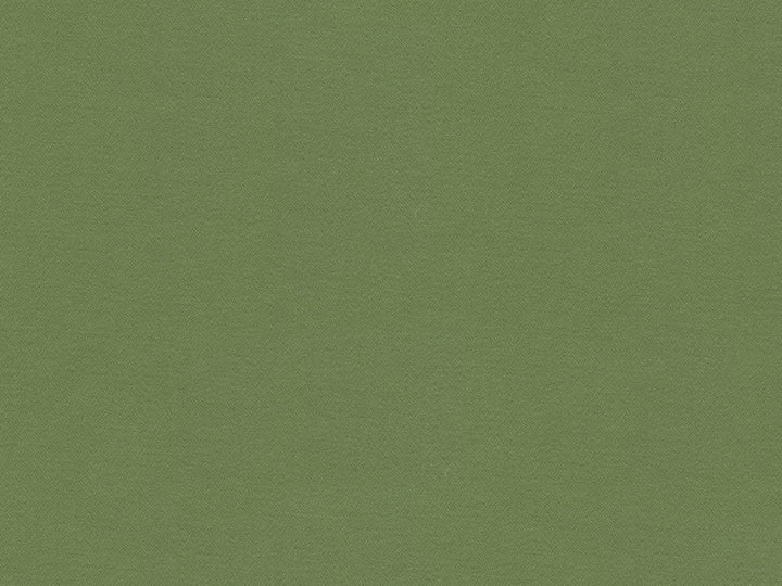 Highland Kiwi by Lee Jofa Fabric