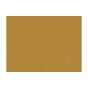 Highland Sahara by Lee Jofa Fabric