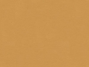 Highland Sable by Lee Jofa Fabric