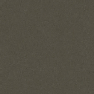 Highland Graphite by Lee Jofa Fabric