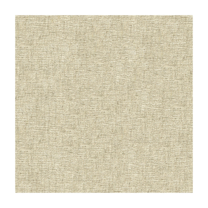 Clare Oyster by Lee Jofa Fabric BUNNY WILLIAMS VISCOSE - 75%;LINEN - 13%;COTTON - 6%;POLYESTER - 6% Italy HEAVY Horizontal: and Vertical: 55 - Fabric Carolina -