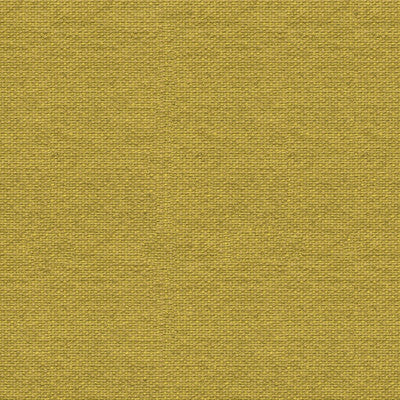 Bridget Celery by Lee Jofa Fabric