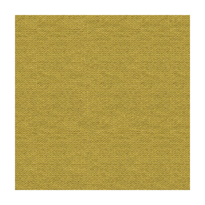 Bridget Celery by Lee Jofa Fabric BUNNY WILLIAMS COTTON - 35%;RAYON - 30%;MERCERIZED COTTON - 25%;FLAX - 10% United States HEAVY Horizontal: and Vertical: 51.75 - Fabric Carolina -