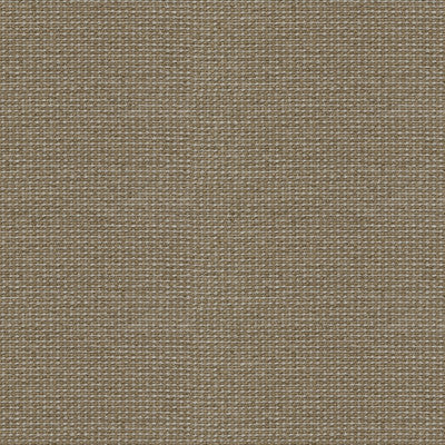 Bridget Taupe by Lee Jofa Fabric