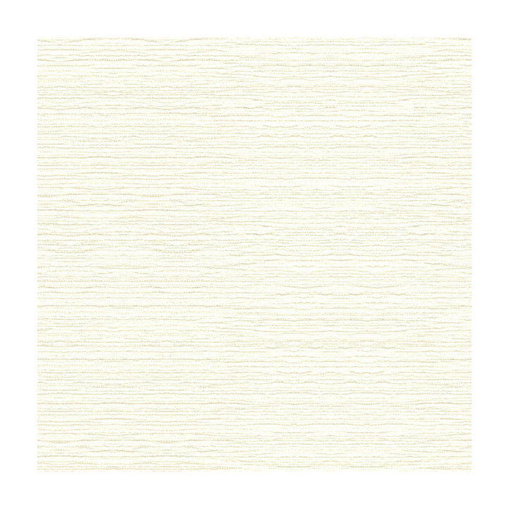 Penrose Texture White by Lee Jofa Fabric PENROSE TEXTURE COTTON - 65%;MERCERIZED COTTON - 35% United States HEAVY Horizontal: 0 and Vertical: 0 56 - Fabric Carolina -