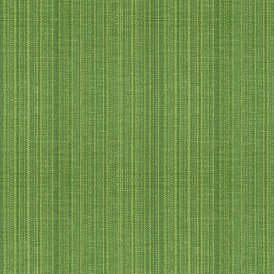 Francis Strie Grass by Lee Jofa Fabric
