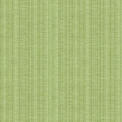 Francis Strie Jade by Lee Jofa Fabric