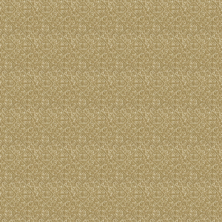 Sumba Beige by Lee Jofa Fabric