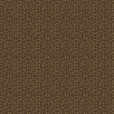 Sumba Brown by Lee Jofa Fabric