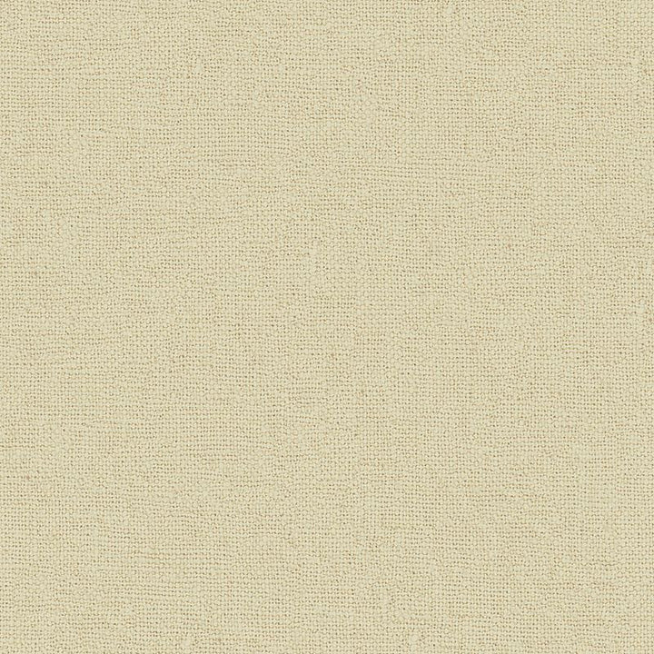 2015151.11 .. by Lee Jofa Fabric Colour Library VII Linen 100% China Heavy Horizontal: See Sample and Vertical: See Sample 54 inches - Fabric Carolina -
