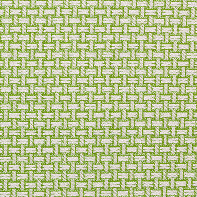 Beach Basket Palm Green by Lee Jofa Fabric