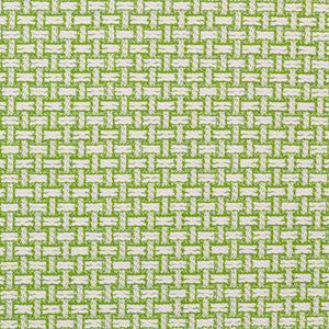 Beach Basket Palm Green by Lee Jofa Fabric