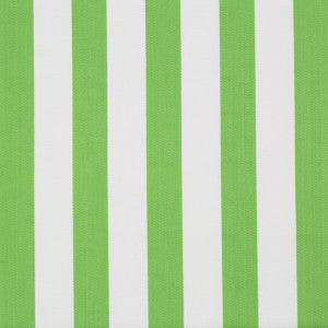 Surf Stripe Palm Green by Lee Jofa Fabric