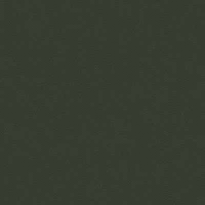 Twickenham Silhouette by Lee Jofa Fabric