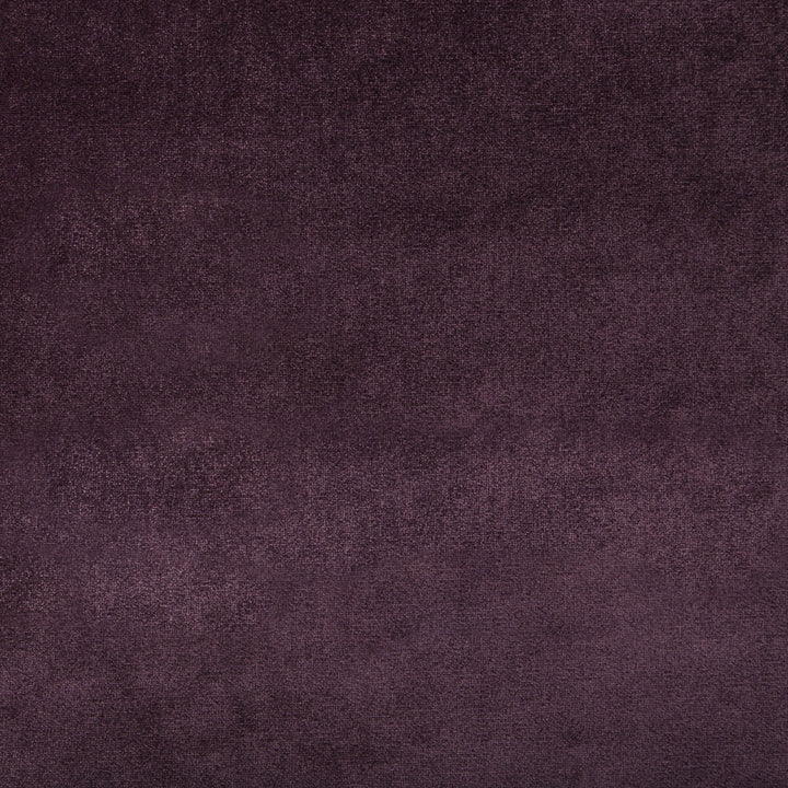 Duchess Velvet Purple by Lee Jofa Fabric Lee Jofa Fabric Duchess Velvet PurpleFabric SILK - 51%;COTTON - 49% Italy </p><p>Repeat: H: 0, V: 0 55 - Fabric Carolina -