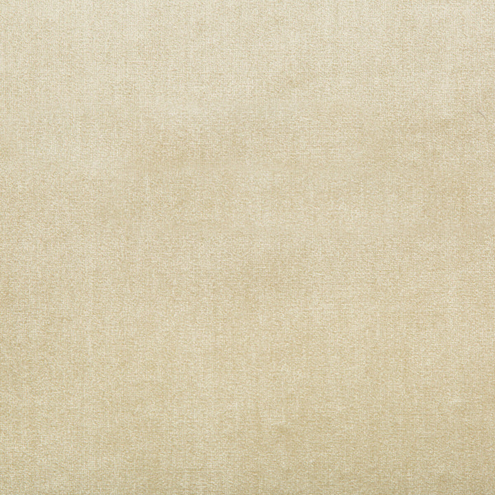 Duchess Velvet Beige by Lee Jofa Fabric Lee Jofa Fabric Duchess Velvet BeigeFabric SILK - 51%;COTTON - 49% Italy </p><p>Repeat: H: 0, V: 0 55 - Fabric Carolina -