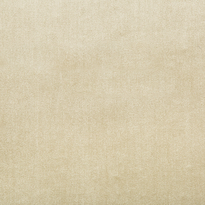 Duchess Velvet Beige by Lee Jofa Fabric SILK - 51%;COTTON - 49% Italy MEDIUM Horizontal: 0 and Vertical: 0 55 - Fabric Carolina -