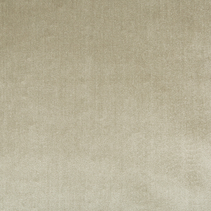Duchess Velvet Oyster by Lee Jofa Fabric - SILK - 51%;COTTON - 49% Italy MEDIUM Horizontal: 0 and Vertical: 0 55 - Fabric Carolina -