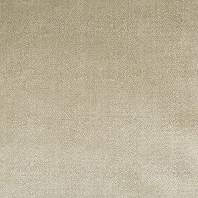 Duchess Velvet Oyster by Lee Jofa Fabric