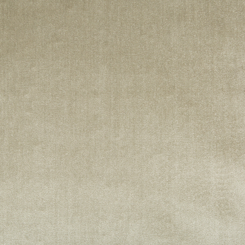 Duchess Velvet Oyster by Lee Jofa Fabric - SILK - 51%;COTTON - 49% Italy MEDIUM Horizontal: 0 and Vertical: 0 55 - Fabric Carolina -