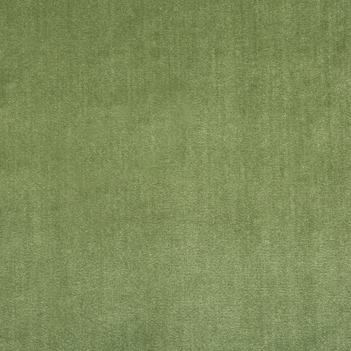 Duchess Velvet Peashoot by Lee Jofa Fabric SILK - 51%;COTTON - 49% Italy MEDIUM Horizontal: 0 and Vertical: 0 55 - Fabric Carolina -